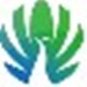 孔雀资讯1.2.0.0