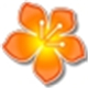 banacast playerv1.2