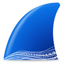 Wireshark电脑版v4.4.6