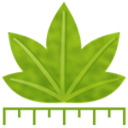 Digimizerv6.3.0