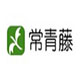 常青藤v5.17